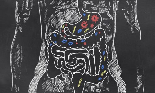 vancouver sibo testing - small intestinal bacterial overgrowth - diagram of human intestines
